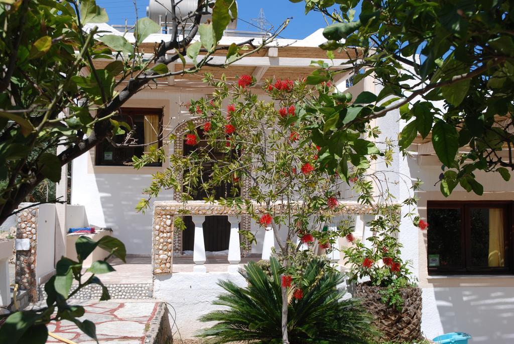 Villa Italiana Amoudara  Exterior photo