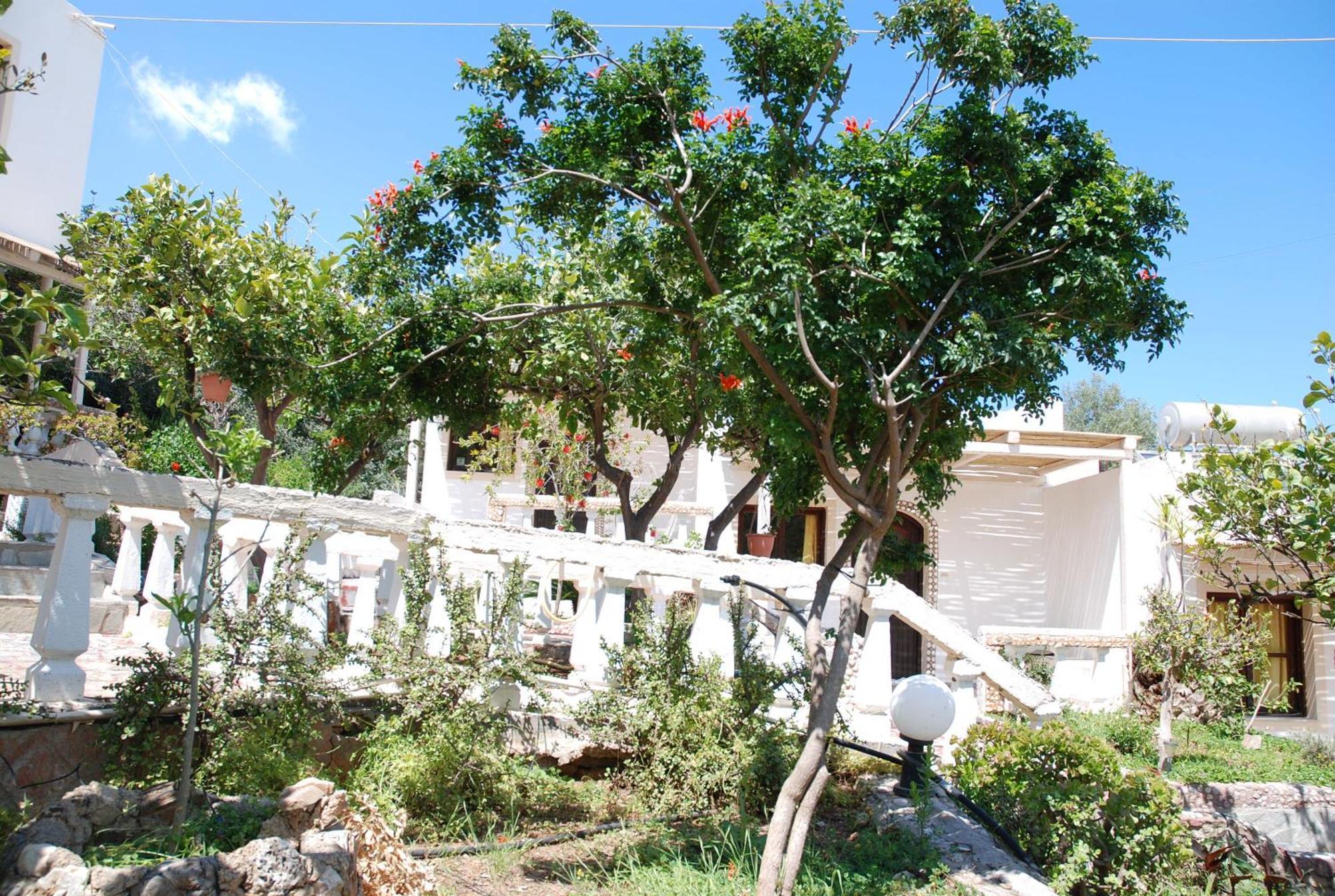 Villa Italiana Amoudara  Exterior photo